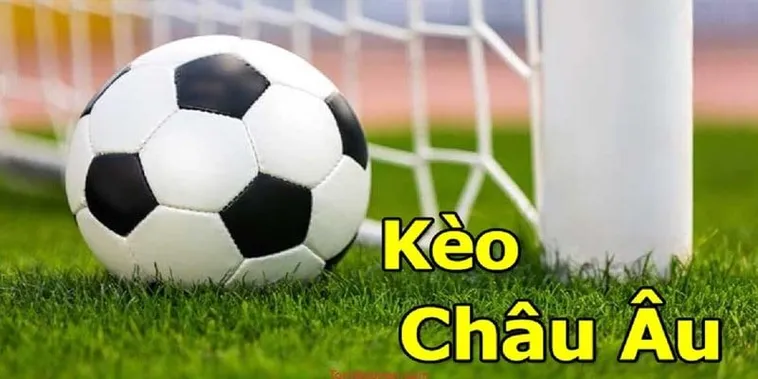 Hướng Dẫn Cách Chơi Kèo Châu Âu Hiệu Quả Dựa Trên Số Liệu