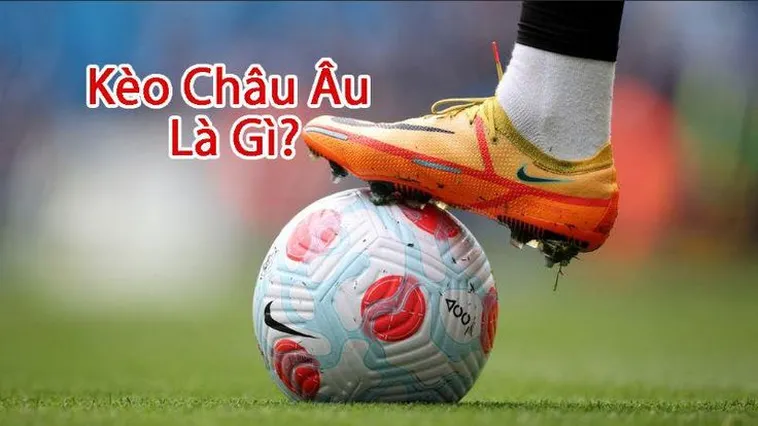 Hướng Dẫn Cách Chơi Kèo Châu Âu Hiệu Quả Dựa Trên Số Liệu