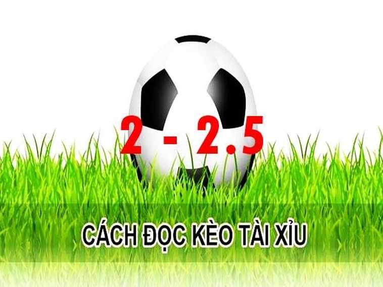Bí Quyết Chơi Kèo 2.25 Hiệu Quả Giúp Bạn Thắng Lớn Mỗi Ngày