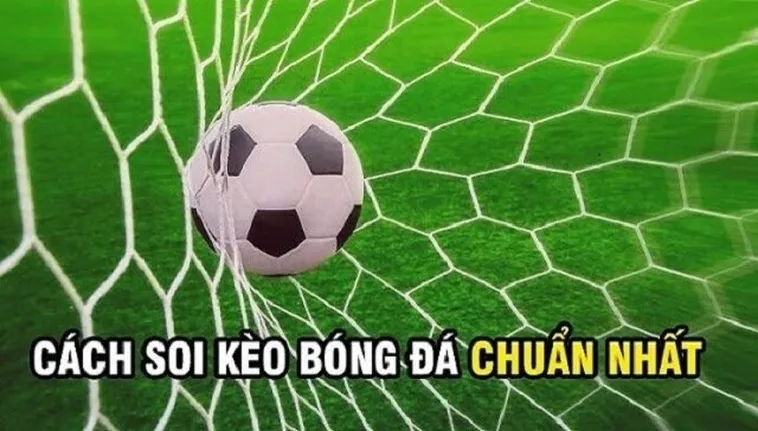 Chiến Thuật Chơi Kèo Rung Bóng Đá Đỉnh Cao Và Tối Ưu Hóa Lợi Nhuận